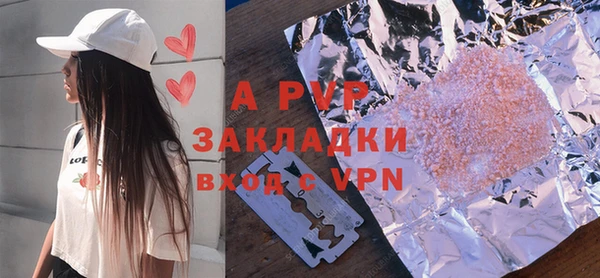крисы Баксан