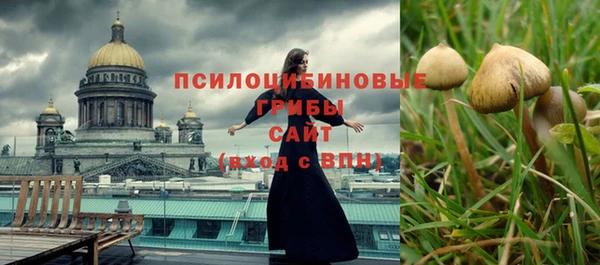 дмт Балахна