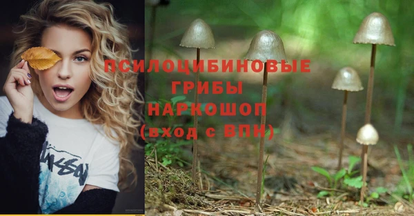 дмт Балахна