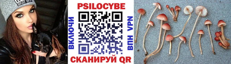 Псилоцибиновые грибы Psilocybine cubensis  Новый Оскол 